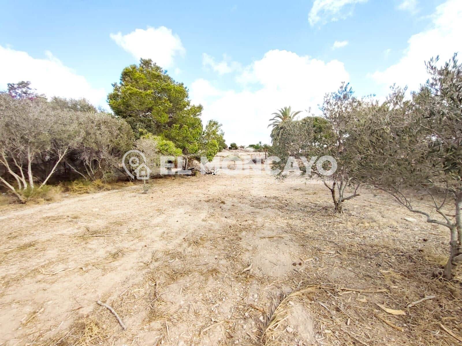 Bouwgrond te koop in La Marina - € 143.000 (Ref: 9236821)