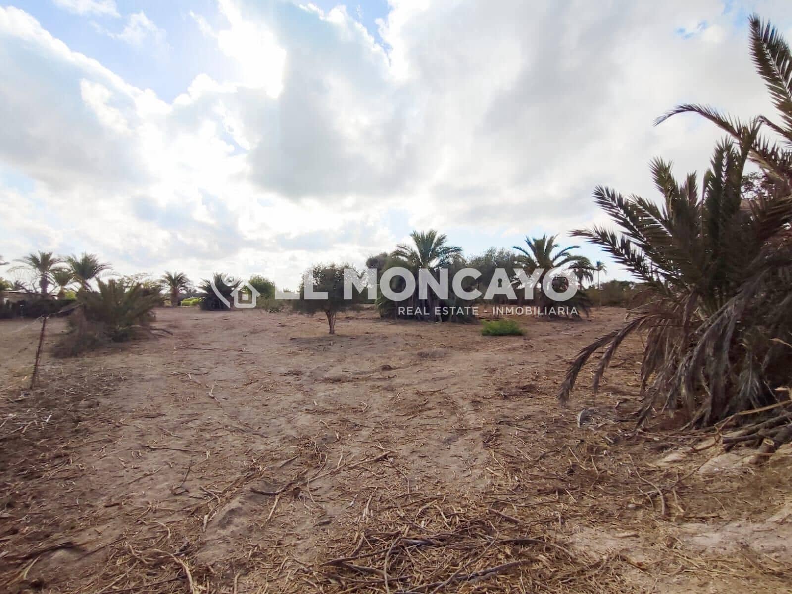 Bouwgrond te koop in La Marina - € 143.000 (Ref: 9236821)