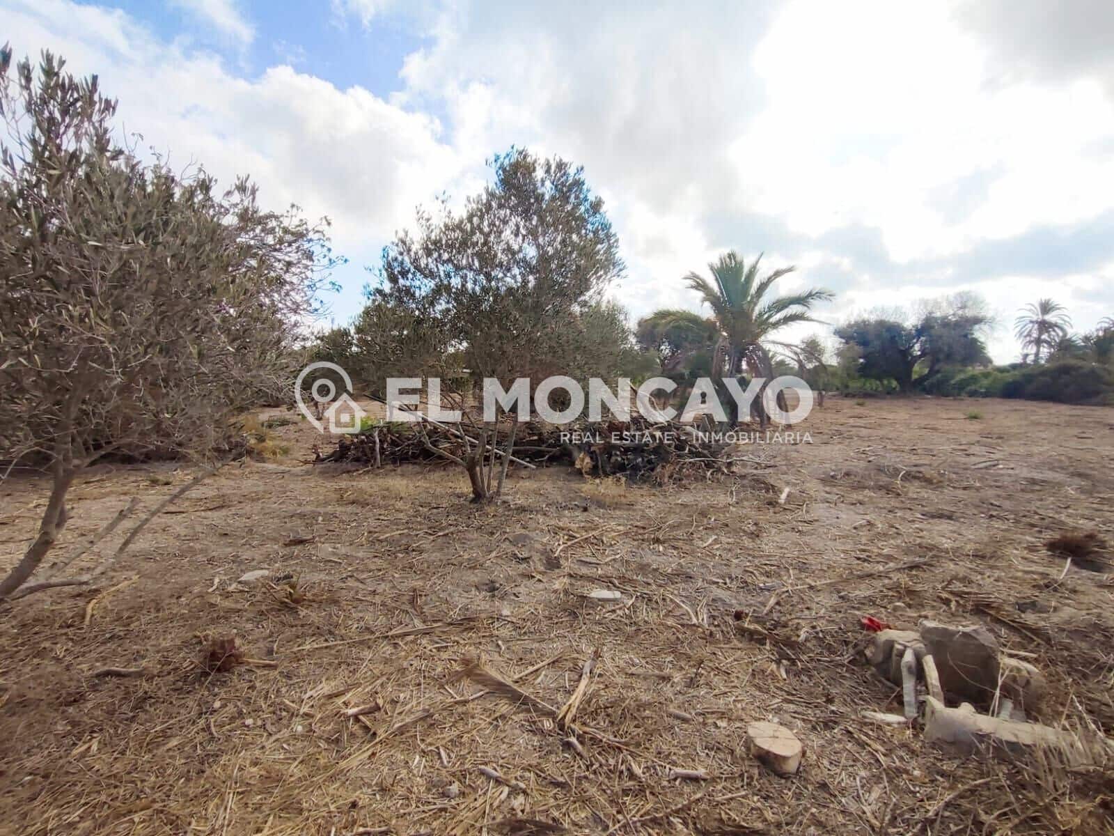 Bouwgrond te koop in La Marina - € 143.000 (Ref: 9236821)