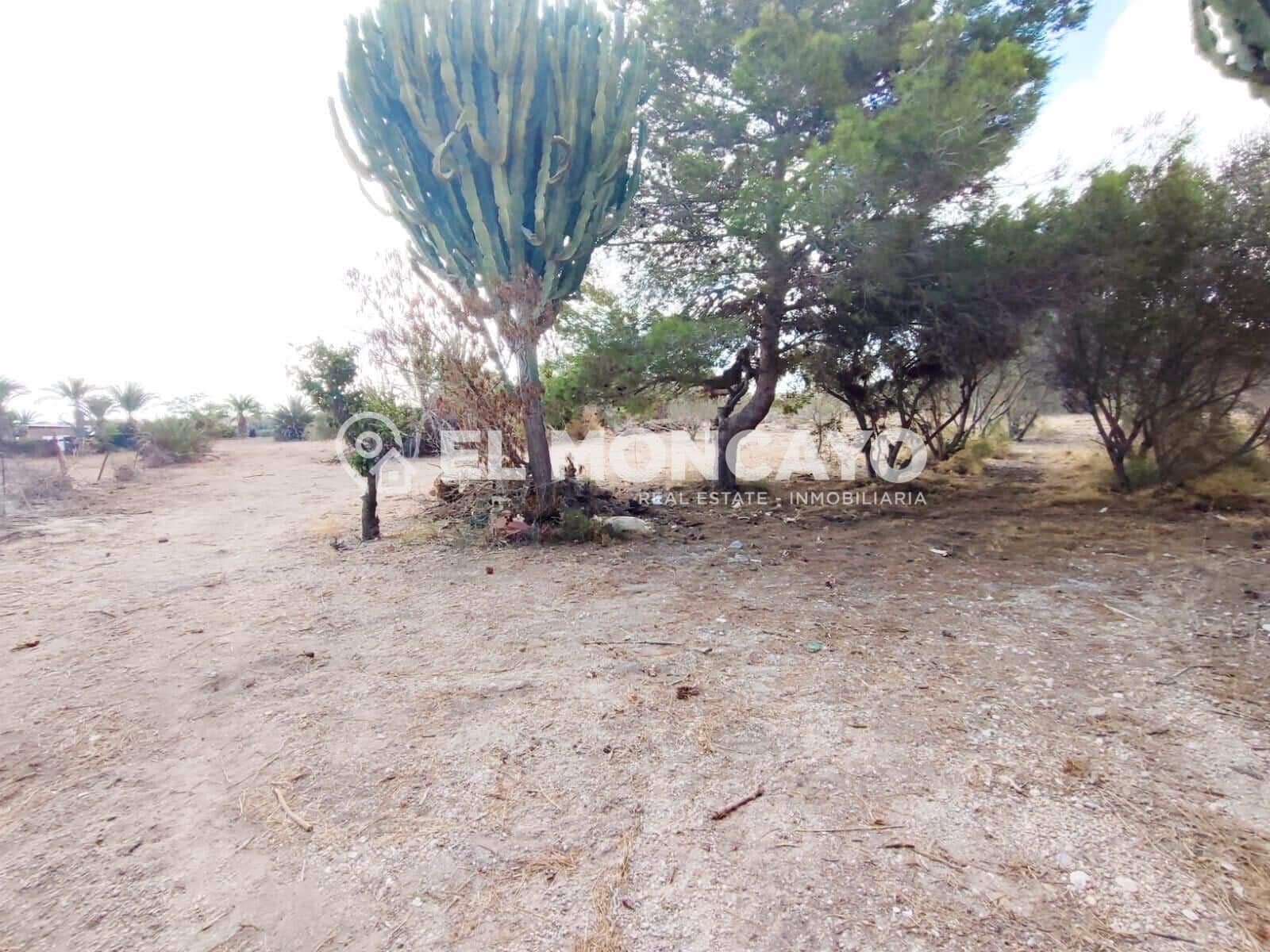 Bouwgrond te koop in La Marina - € 143.000 (Ref: 9236821)