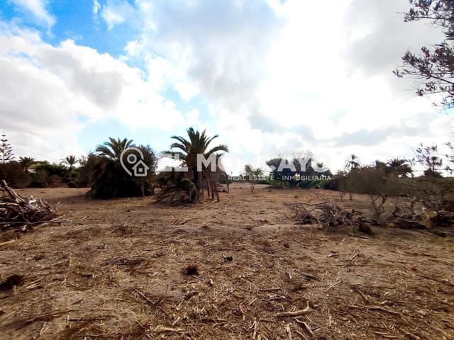 Tomt till salu i La Marina, Elche / Elx - 143 000 € (Ref: 9236821)