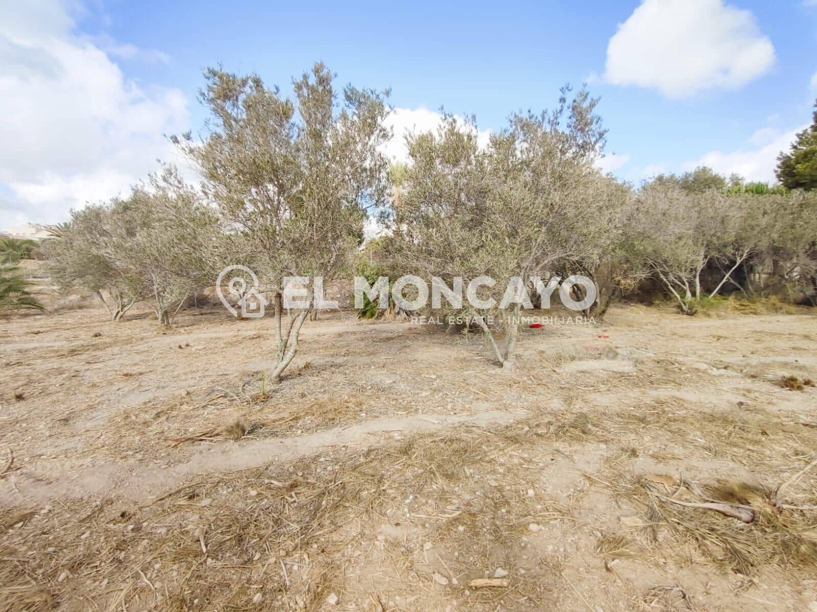 Bouwgrond te koop in La Marina - € 143.000 (Ref: 9236821)