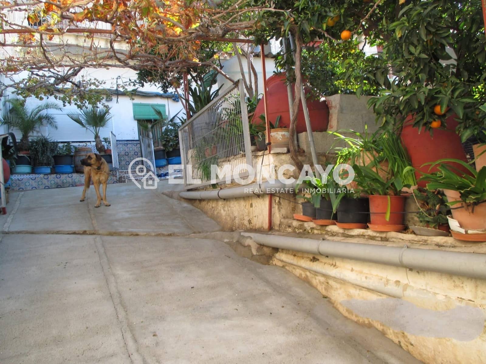 4 sypialnia Willa na sprzedaż w Rojales z basenem - 235 000 € (Ref: 9347251)