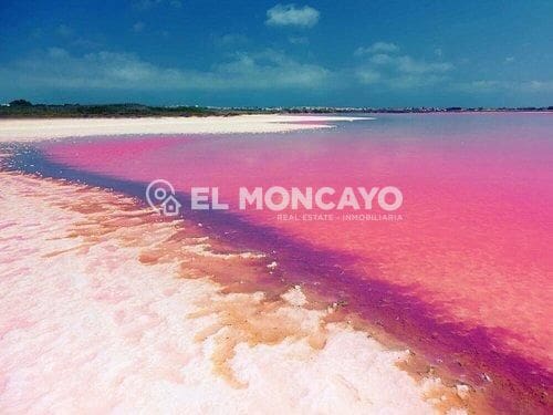 2 bedroom Apartment for sale in La Mata with garage - € 220,000 (Ref: 9431228)