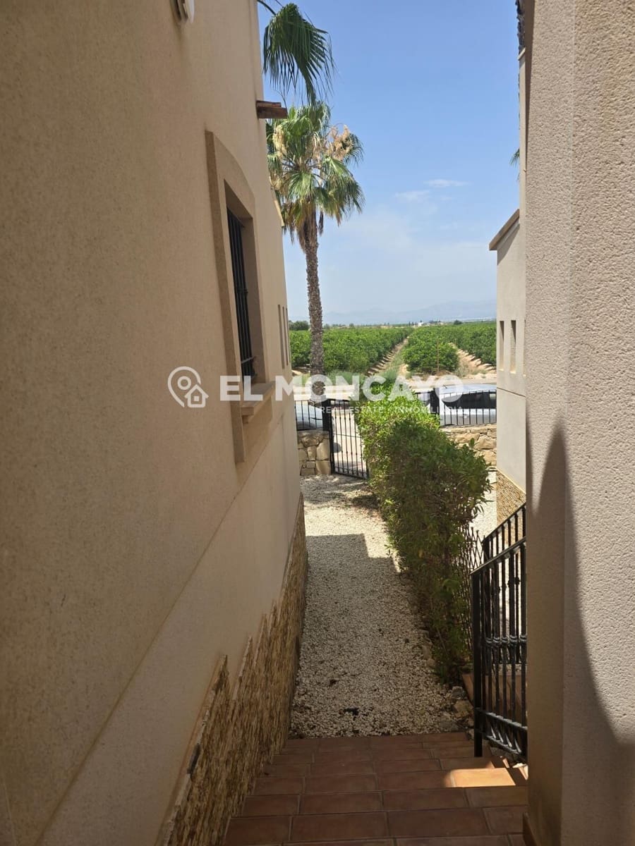Pareado de 3 habitaciones en Algorfa en venta con piscina - 220.000 € (Ref: 9456170)