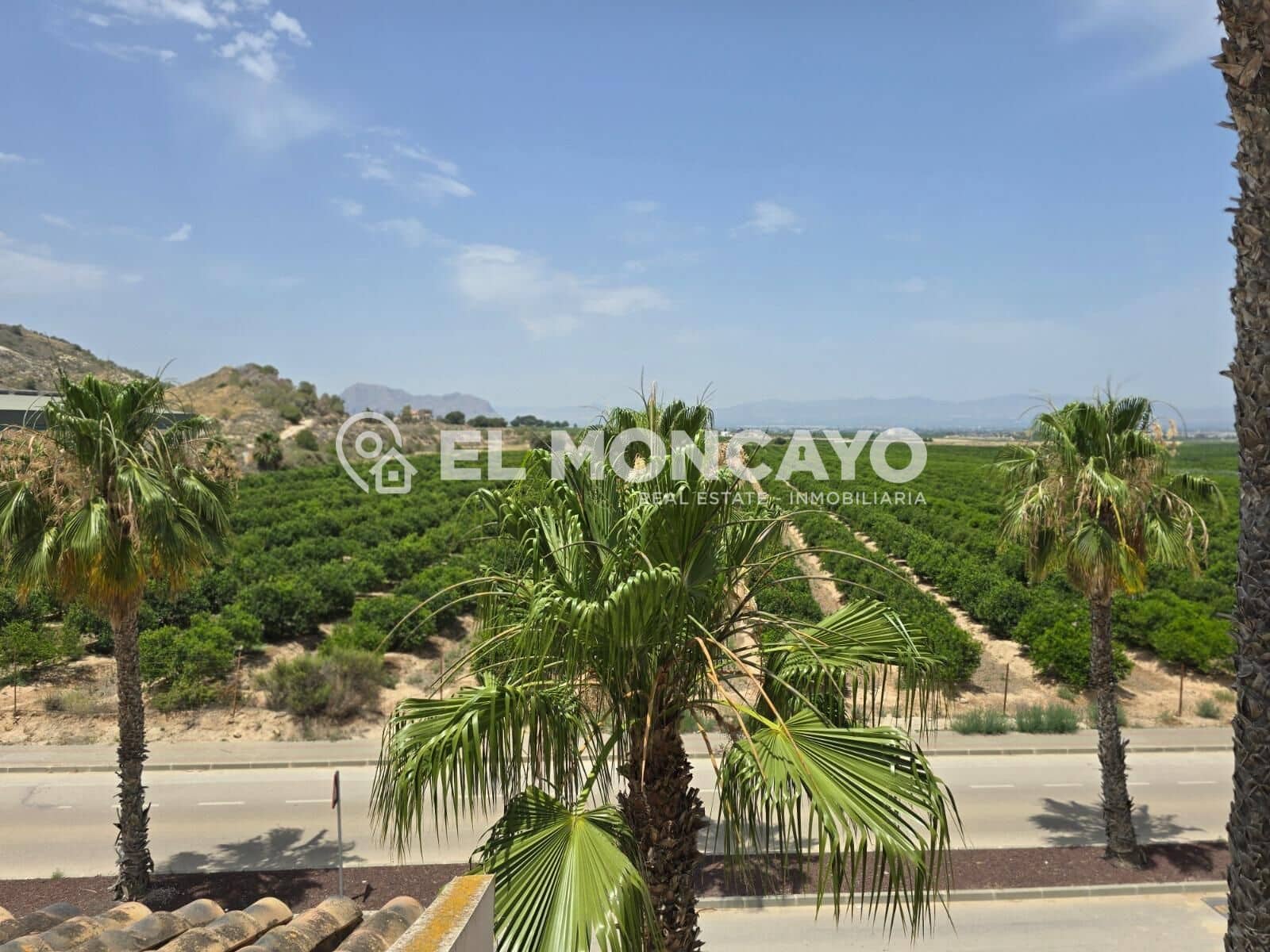 Pareado de 3 habitaciones en Algorfa en venta con piscina - 220.000 € (Ref: 9456170)