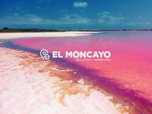 2 sypialnia Bungalow na sprzedaż w Los Montesinos z basenem - 150 000 € (Ref: 9535860)