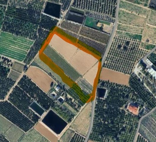 Tontti myytävänä paikassa Guardamar del Segura - 360 000 € (Ref: 9568499)