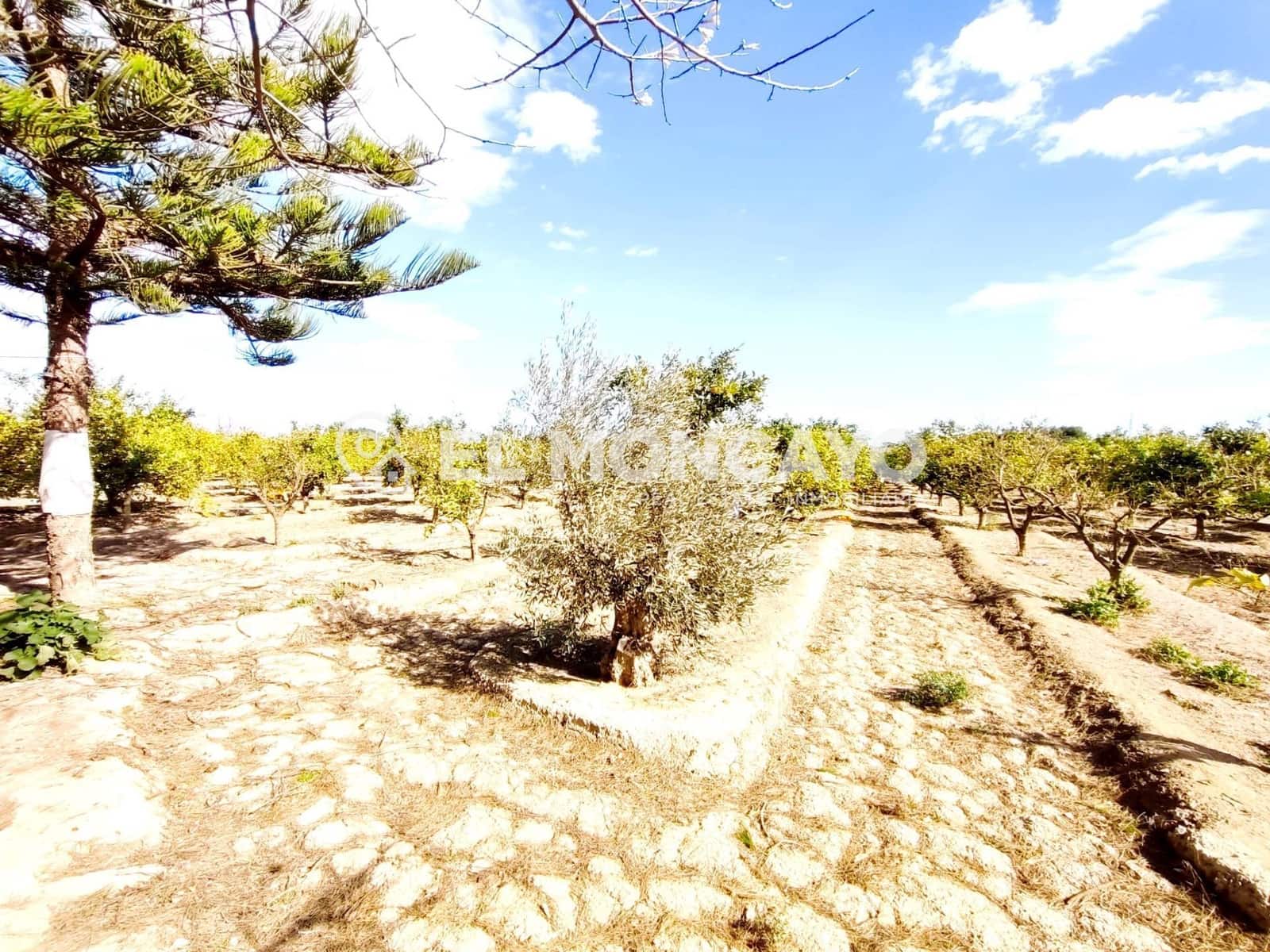 2 bedroom Finca/Country House for sale in Rojales with garage - € 255,000 (Ref: 9586367)