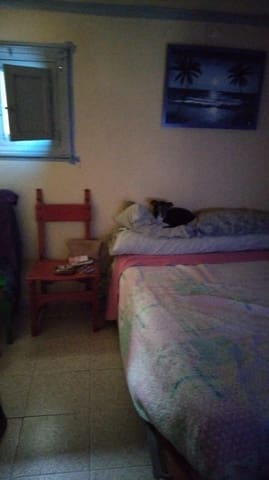 3 camera da letto Appartamento in vendita in Los Montesinos - 105.000 € (Rif: 9648045)