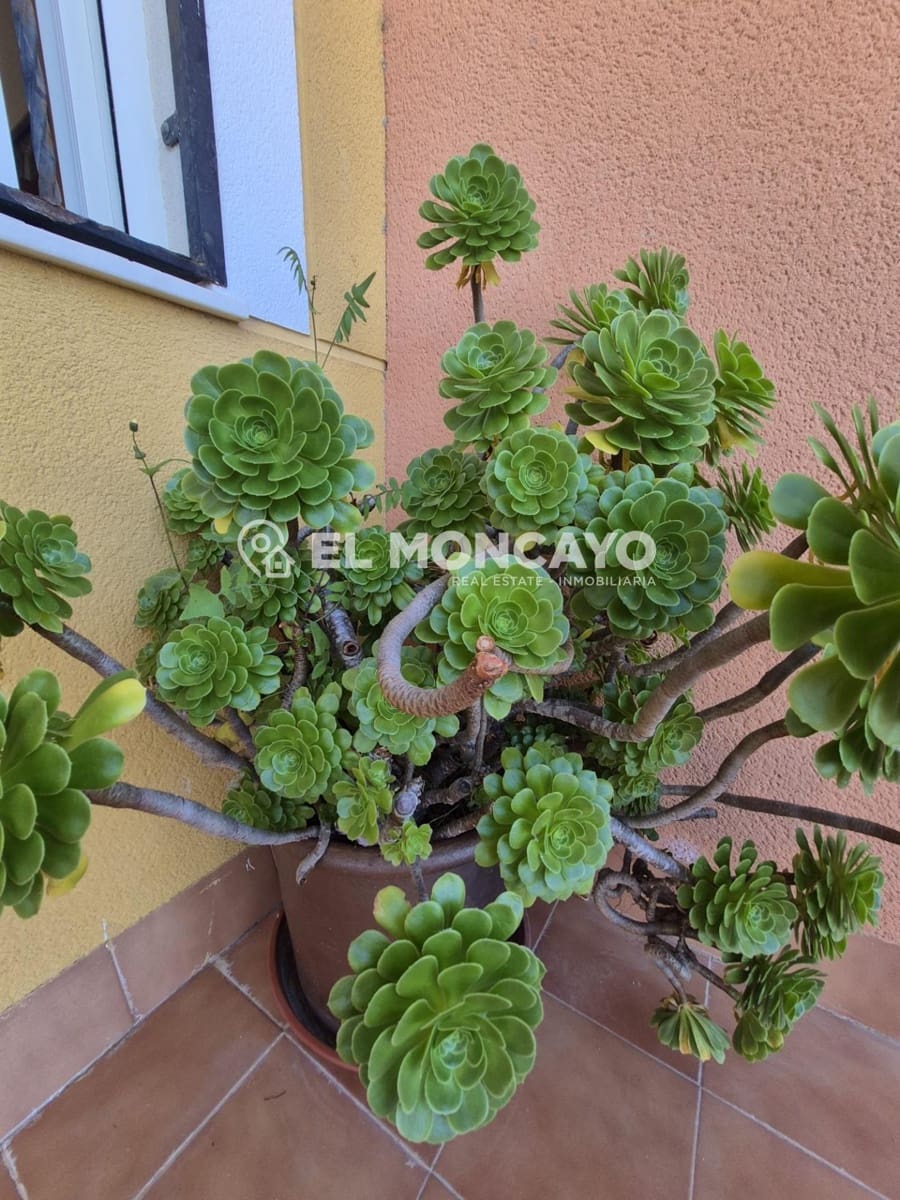 3 slaapkamer Appartement te koop in Guardamar del Segura met zwembad garage - € 349.500 (Ref: 9751931)