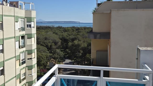 Ático de 4 habitaciones en Guardamar del Segura en venta - 268.000 € (Ref: 9783063)