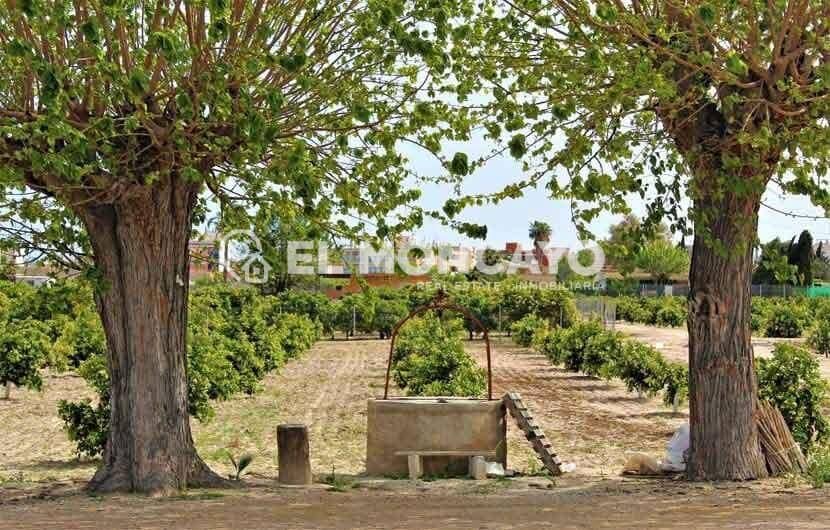 Azienda in vendita in Benijofar con garage - 165.000 € (Rif: 9790990)