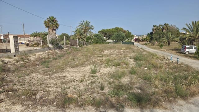 Mark att hyra i La Marina, Elche / Elx - 330 € (Ref: 9986831)