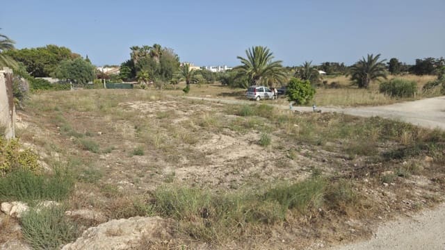 Mark att hyra i La Marina, Elche / Elx - 330 € (Ref: 9986831)