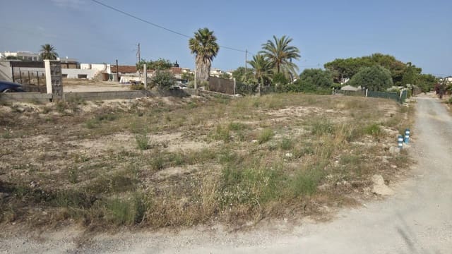 Mark att hyra i La Marina, Elche / Elx - 330 € (Ref: 9986831)