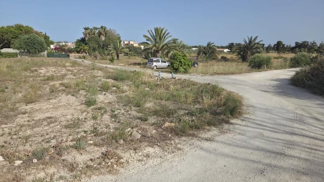 Mark att hyra i La Marina, Elche / Elx - 330 € (Ref: 9986831)