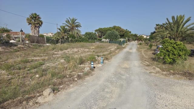 Mark att hyra i La Marina, Elche / Elx - 330 € (Ref: 9986831)