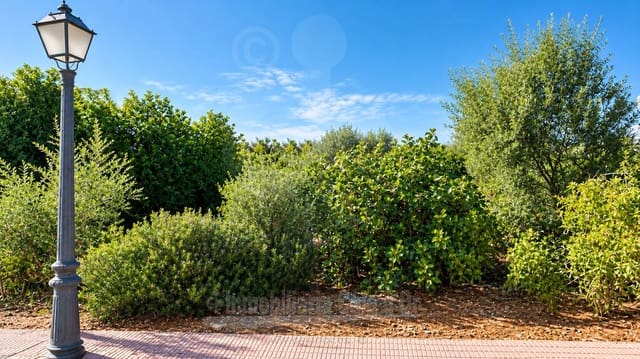 Solar/Parcela en Cala d'Or, Santanyí en venta - 304.950 € (Ref: 3388297)