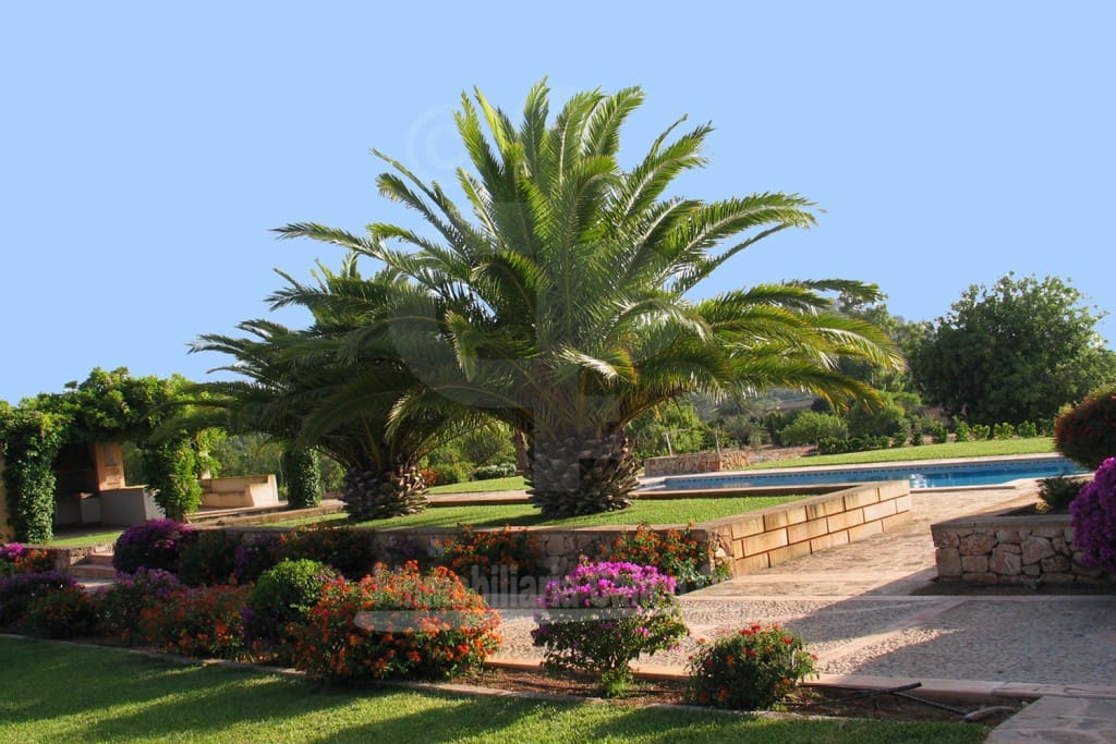 4 soveværelse Finca/Landehus til salg i Es Carritxo / El Carritxo med swimmingpool - € 1.910.000 (Ref: 4911933)