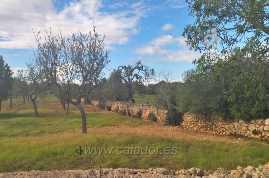 Grunde uden byggetilladelser til salg i Cala Ferrera - € 350.000 (Ref: 6873969)