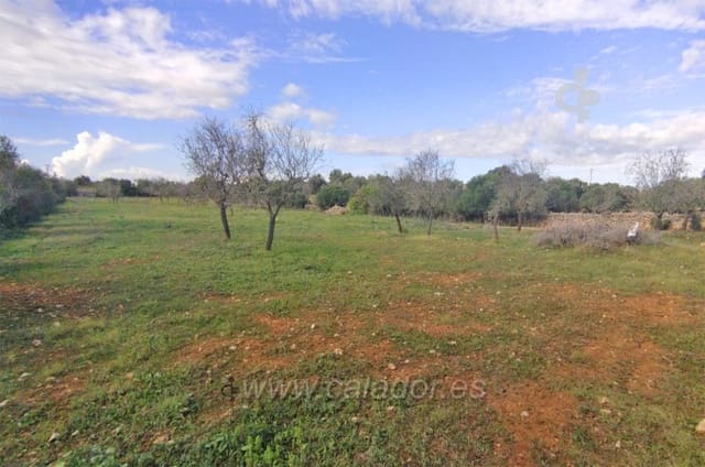 Terreno Não Urbanizado para venda em Cala Ferrera, Felanitx - 350 000 € (Ref: 6873969)