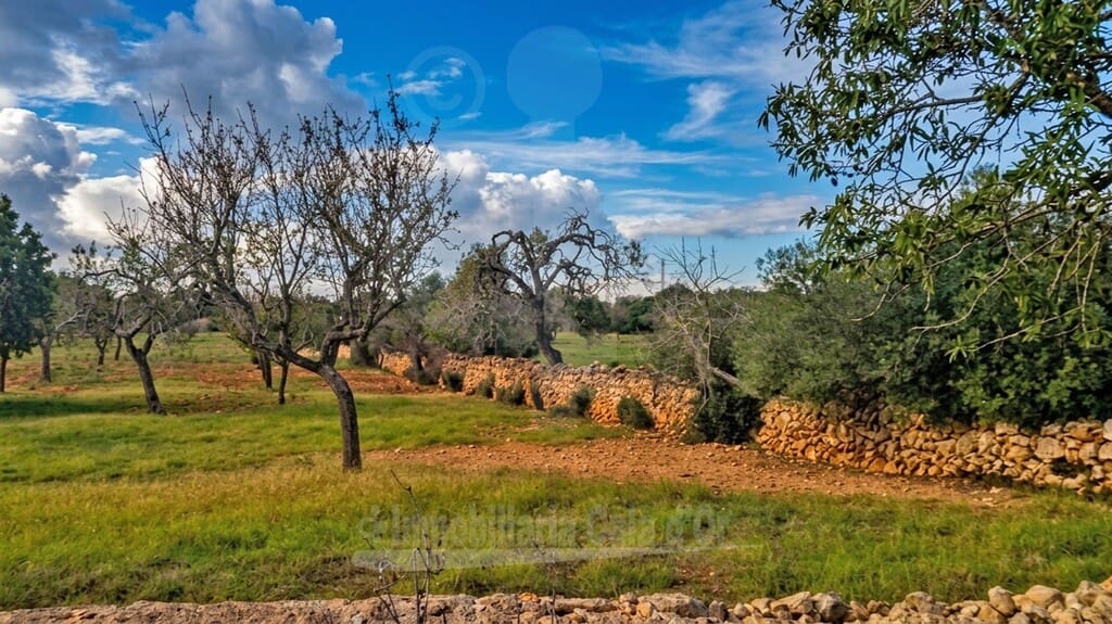 Terreno para Construção para venda em Cala Ferrera - 350 000 € (Ref: 6873969)