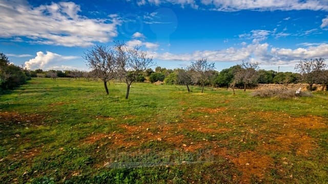 Terrain à Bâtir à vendre à Cala Ferrera, Felanitx - 350 000 € (Ref: 6873969)