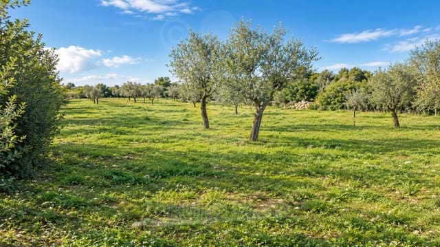 Terrain à Bâtir à vendre à Cala Ferrera, Felanitx - 350 000 € (Ref: 6873969)