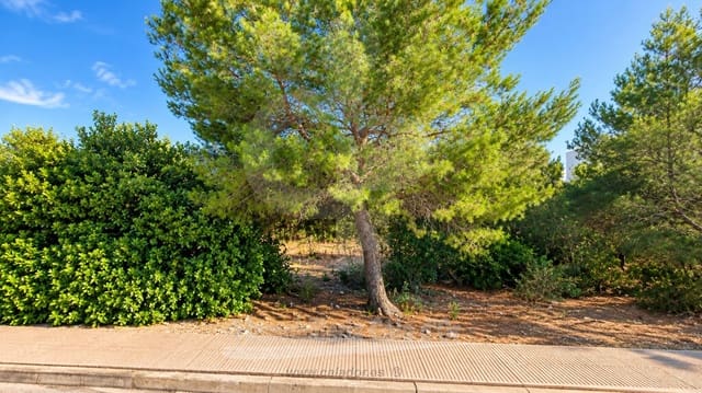 Tontti myytävänä paikassa Cala d'Or, Santanyí - 382 525 € (Ref: 7985581)