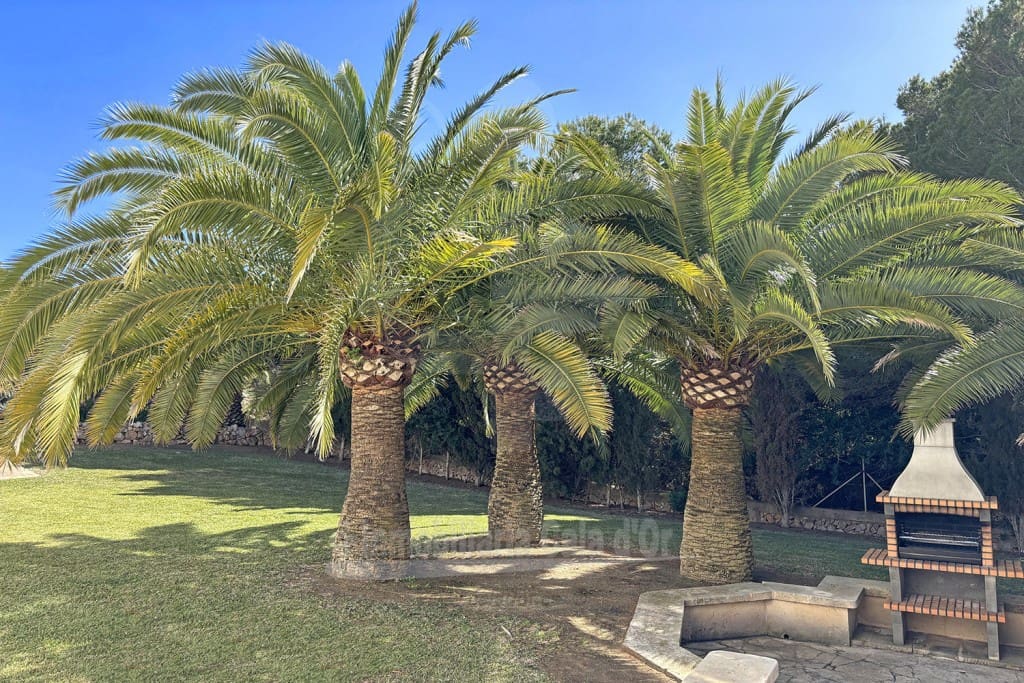 5 soveværelse Villa til salg i Porto Petro med swimmingpool garage - € 1.600.000 (Ref: 8948648)