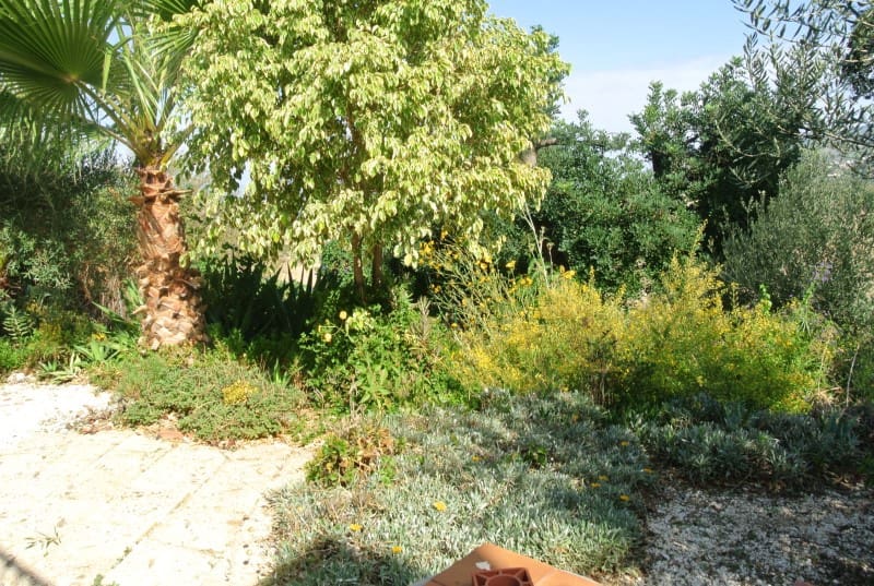 Chalet de 5 habitaciones en Alhaurín de la Torre en alquiler - 4.200 € (Ref: 5874788)