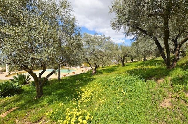 5 soverom Villa til leie i Alhaurín el Grande med svømmebasseng - € 3 500 (Ref: 8168211)