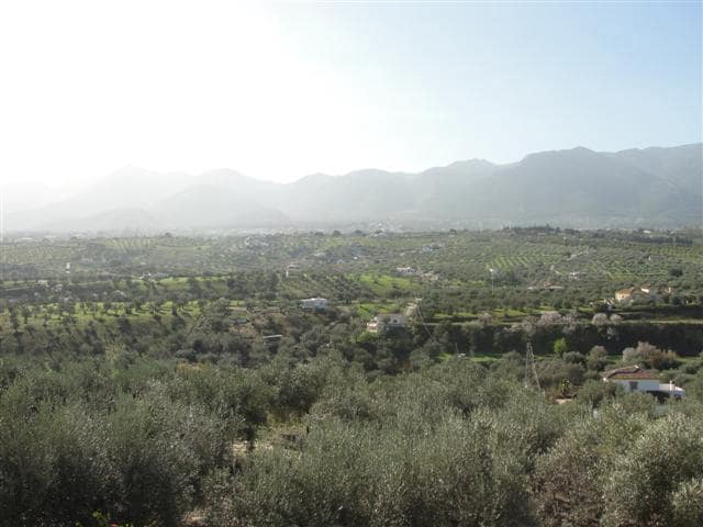 3 slaapkamer Villa te huur in Alhaurin el Grande - € 1.600 (Ref: 9593200)