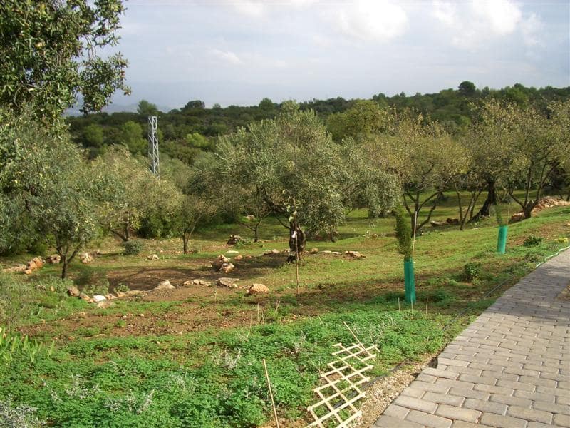 4 bedroom Villa for rent in Alhaurin el Grande with pool - € 2,000 (Ref: 9609925)