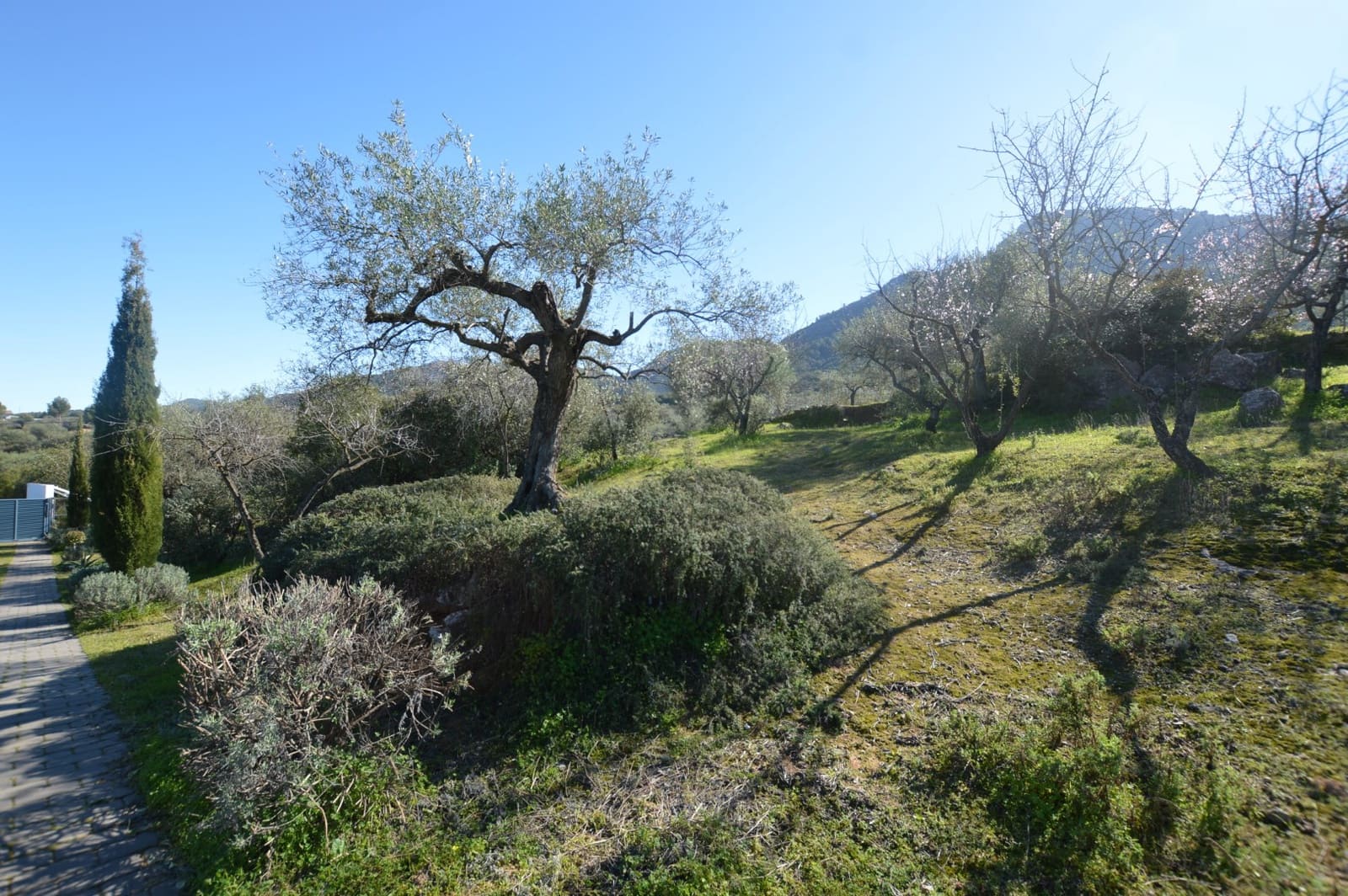 4 bedroom Villa for rent in Alhaurin el Grande with pool - € 2,000 (Ref: 9609925)