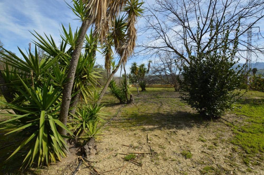 3 bedroom Villa for rent in Alhaurin el Grande with pool - € 1,800 (Ref: 9610604)