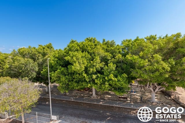 4 sypialnia Willa na sprzedaż w Mil Palmeras, Pilar de la Horadada z basenem - 729 900 € (Ref: 9971176)