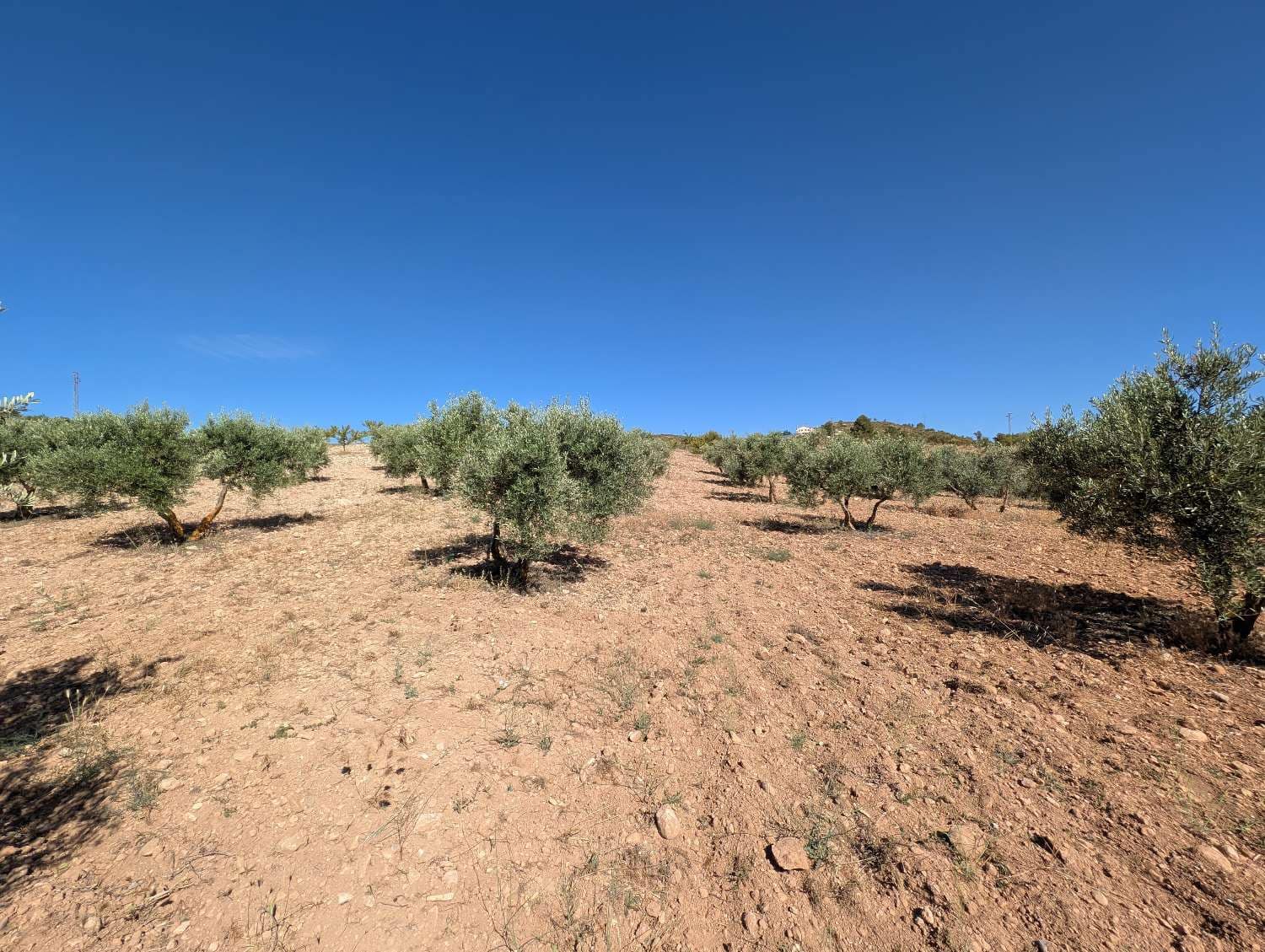 3 camera da letto Finca/Casa di Campagna in vendita in Arenas del Rey con garage - 225.000 € (Rif: 10026062)