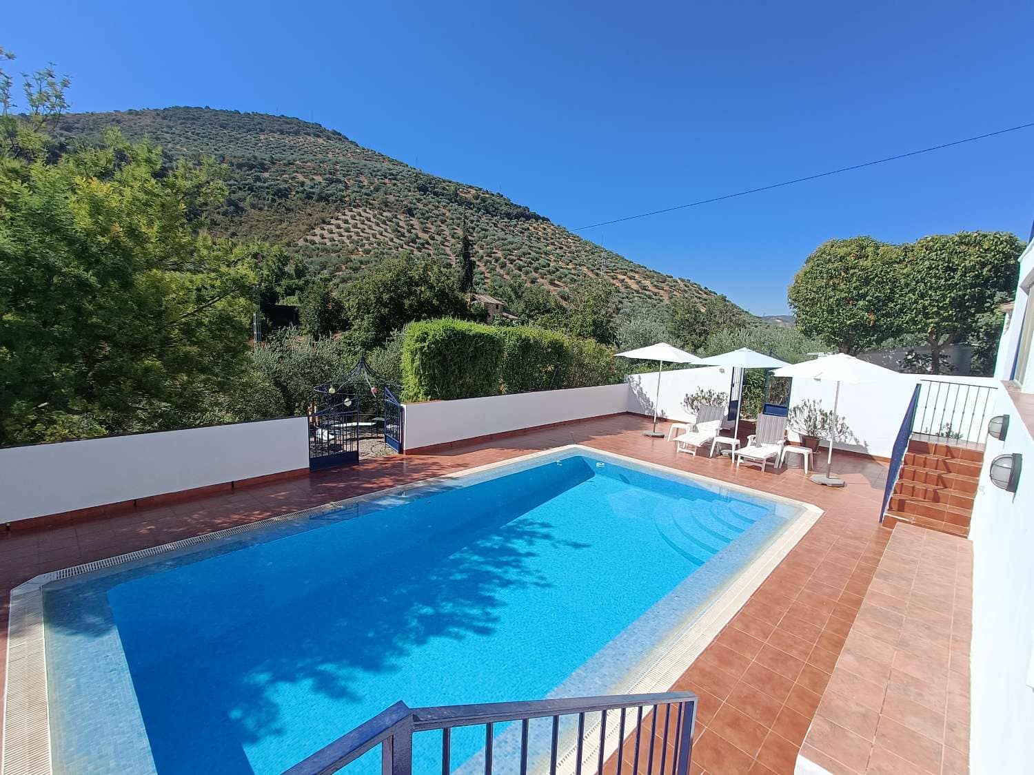 5 chambre Finca/Maison de Campagne à vendre à Algarinejo avec piscine - 359 000 € (Ref: 10085440)