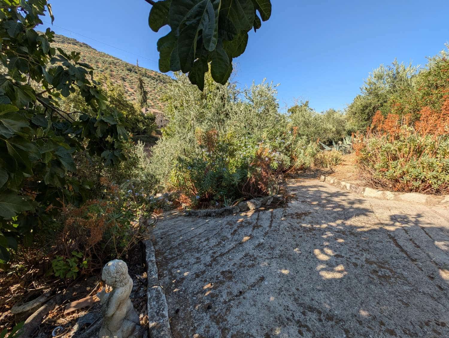 5 chambre Finca/Maison de Campagne à vendre à Algarinejo avec piscine - 359 000 € (Ref: 10085440)