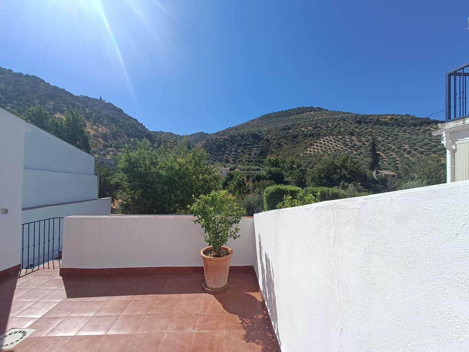 5 chambre Finca/Maison de Campagne à vendre à Algarinejo avec piscine - 359 000 € (Ref: 10085440)