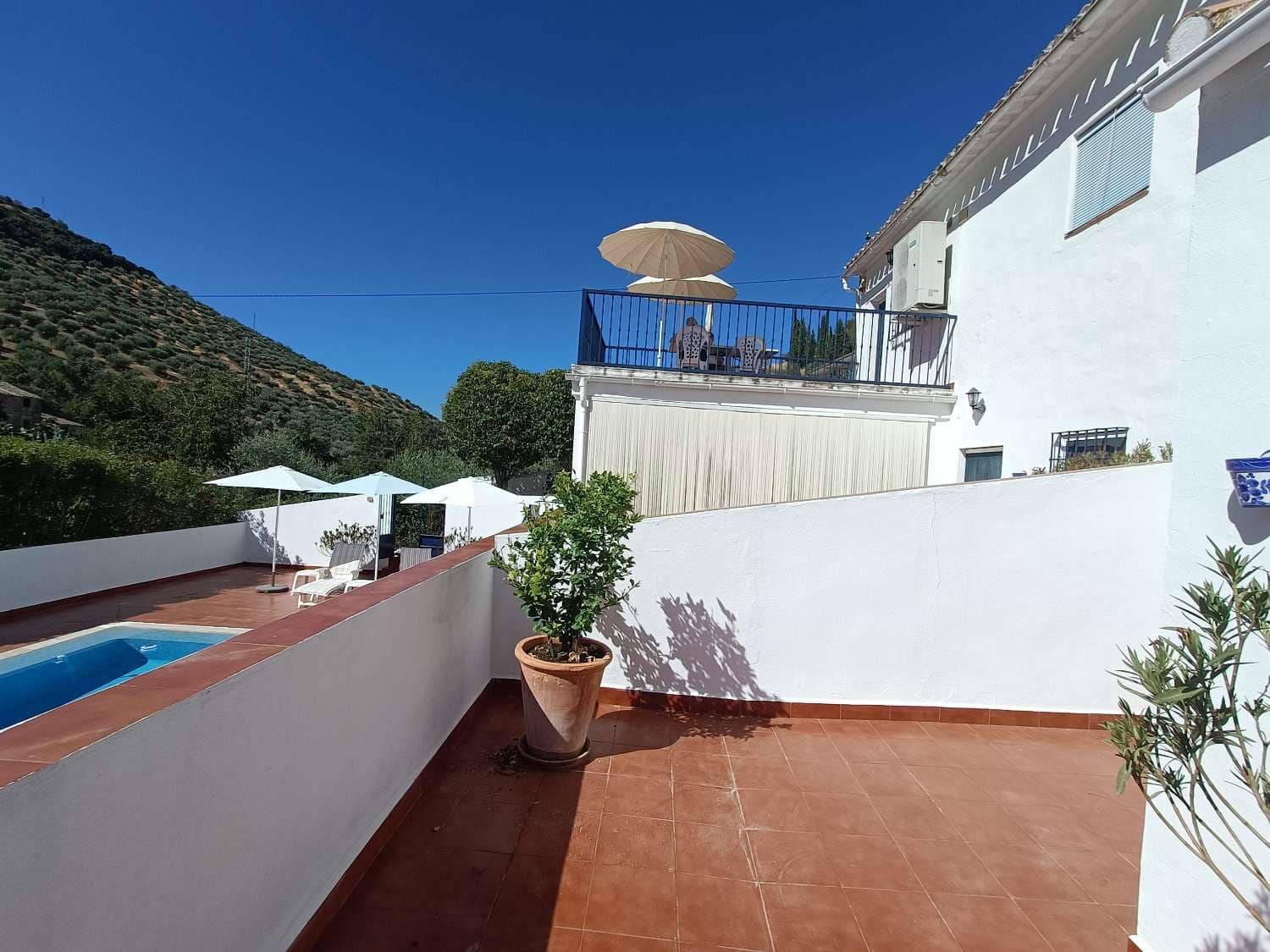 5 chambre Finca/Maison de Campagne à vendre à Algarinejo avec piscine - 359 000 € (Ref: 10085440)