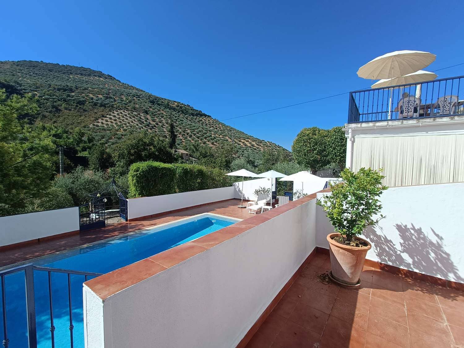 5 chambre Finca/Maison de Campagne à vendre à Algarinejo avec piscine - 359 000 € (Ref: 10085440)