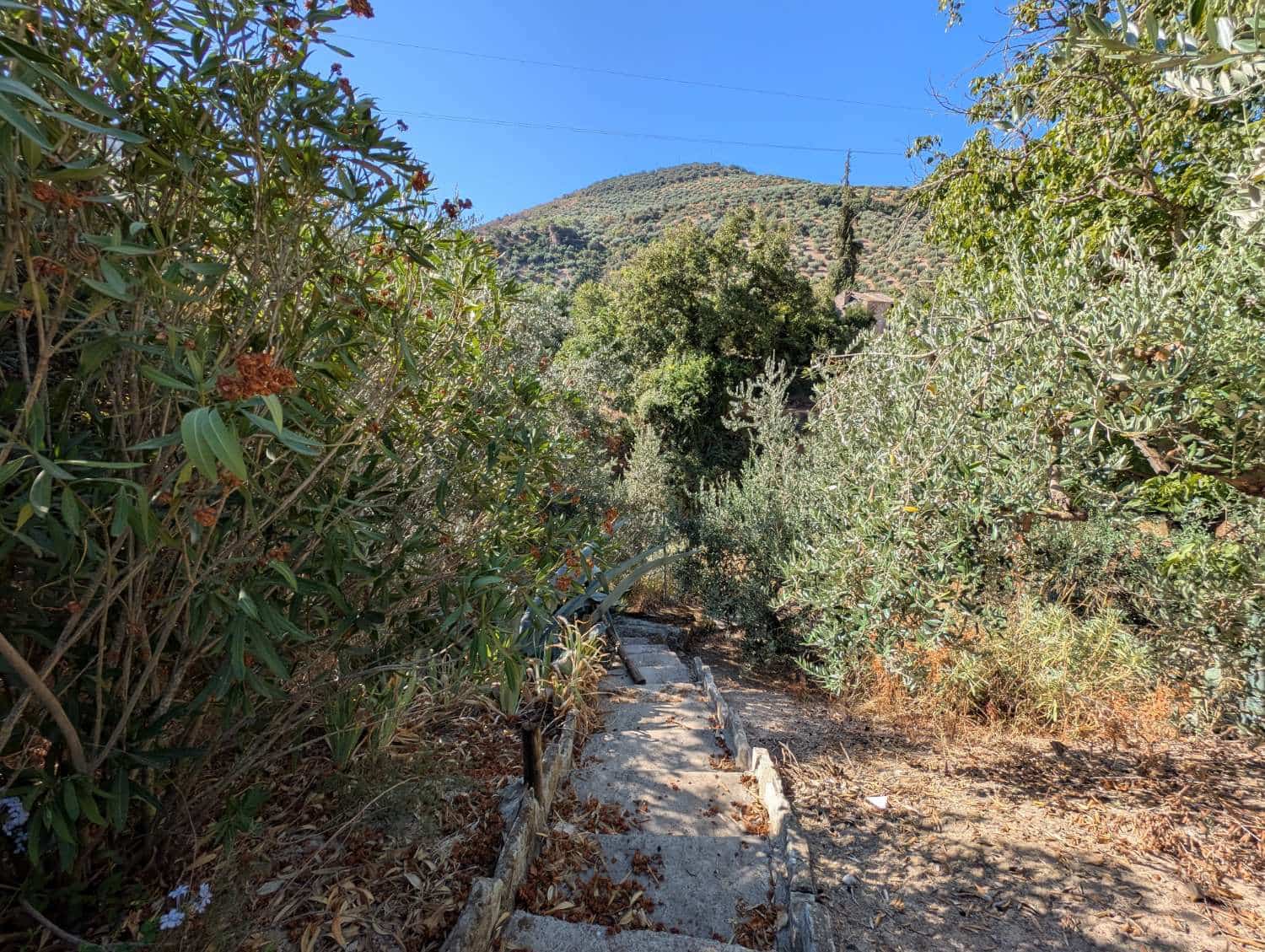 5 chambre Finca/Maison de Campagne à vendre à Algarinejo avec piscine - 359 000 € (Ref: 10085440)