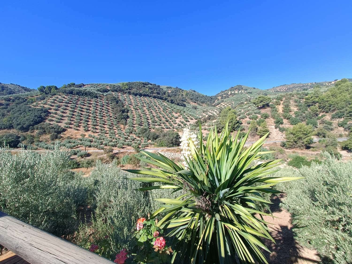 6 Zimmer Finca/Landgut zu verkaufen in Montefrio mit Pool Garage - 275.000 € (Ref: 10091035)
