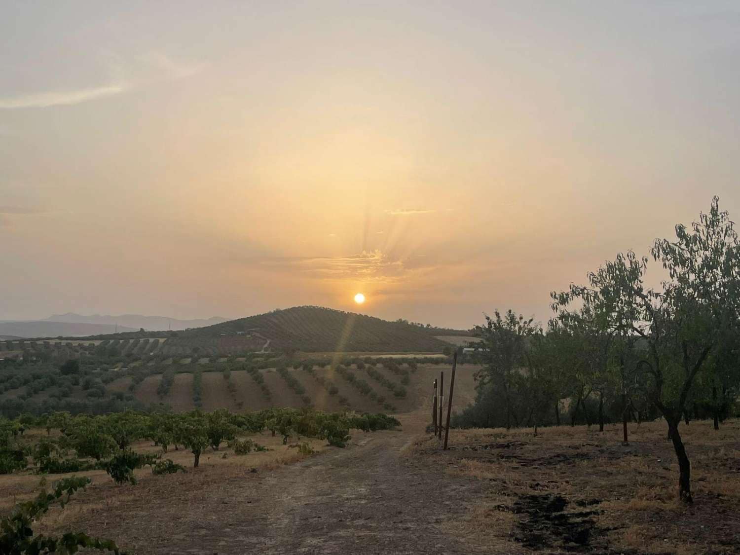 3 quarto Quinta/Casa Rural para venda em Alcala la Real com piscina - 265 000 € (Ref: 10154546)