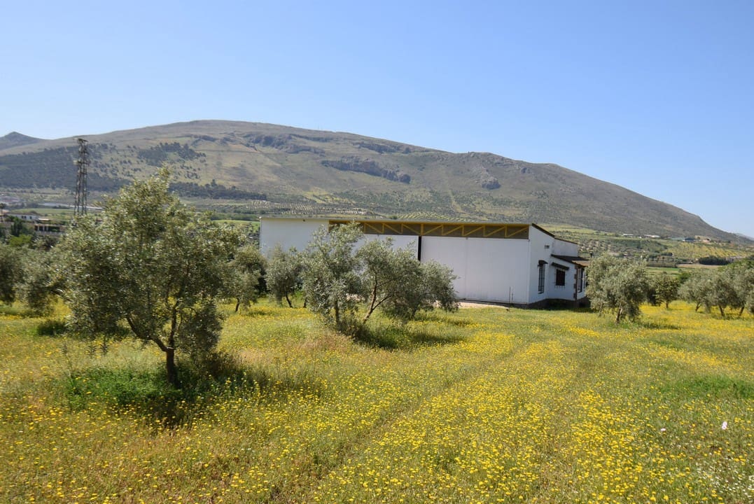 4 soveværelse Finca/Landehus til salg i Loja - € 990.000 (Ref: 7320635)
