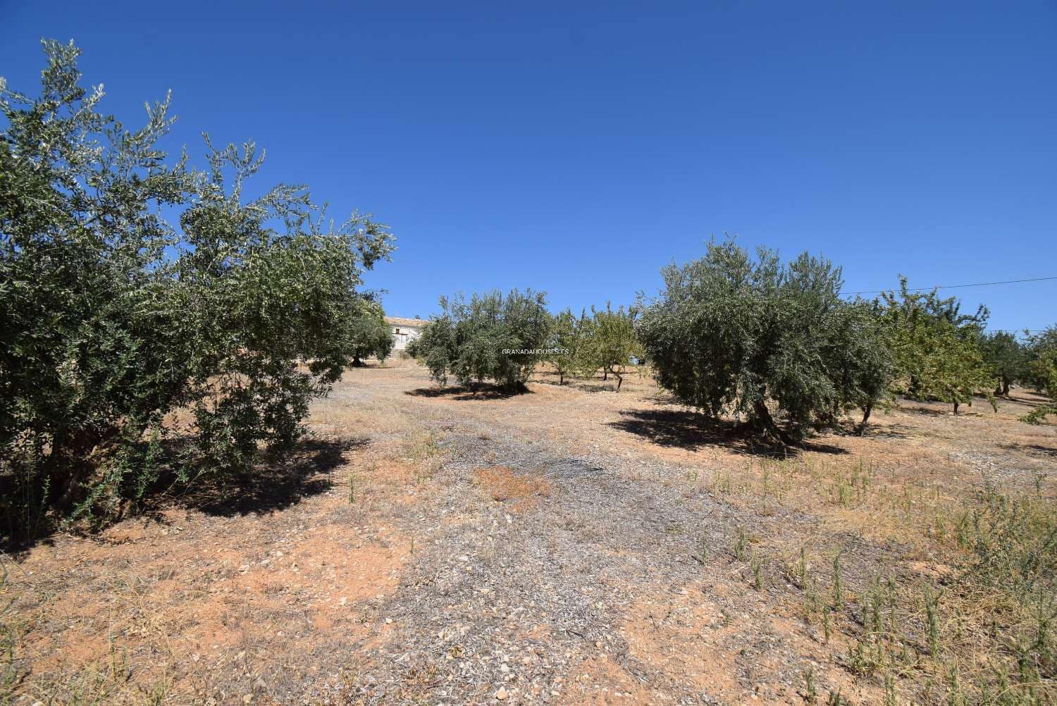 4 soverom Finca/Herregård til salgs i Algarinejo med garasje - € 75 000 (Ref: 7760462)