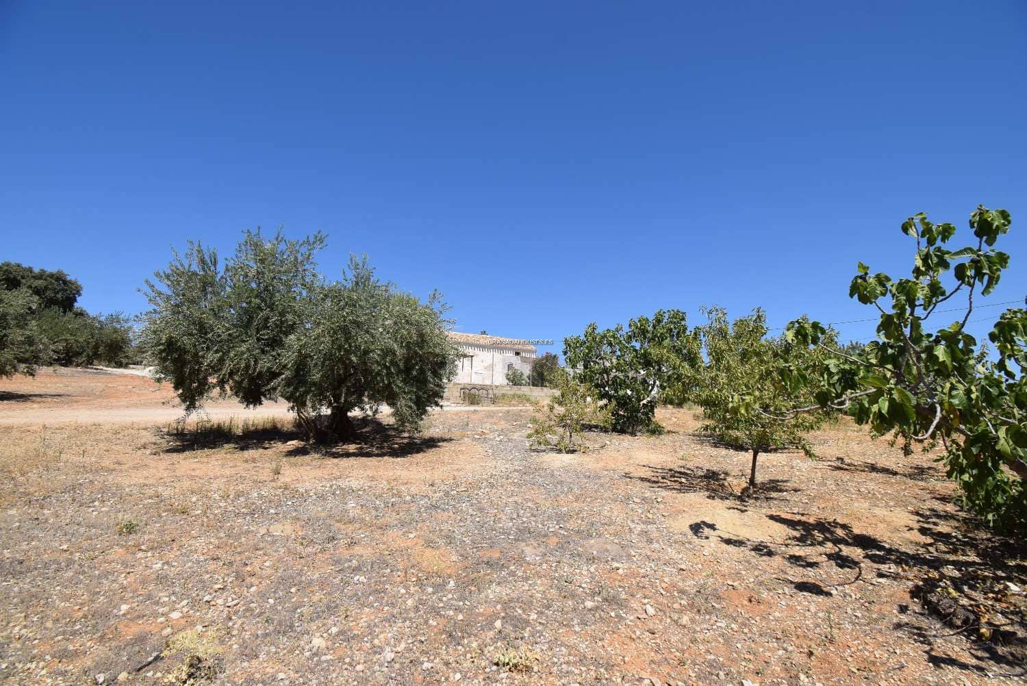 4 soverom Finca/Herregård til salgs i Algarinejo med garasje - € 75 000 (Ref: 7760462)